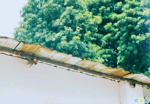 2019激励自己奋斗的话 致自己的经典哲理句子大全1