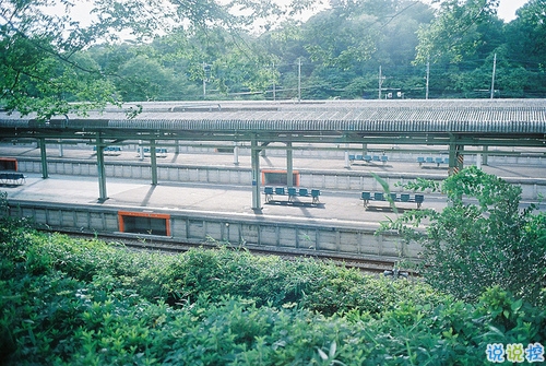 那些和青春夏天有关的唯美简单小清新图片句子 阳光倾落风雨都不舍3