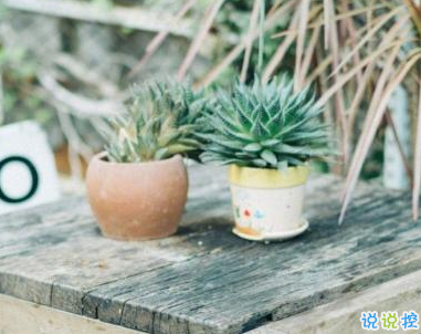 描写春天的唯美句子带图片 2019适合春天的微信说说句子11