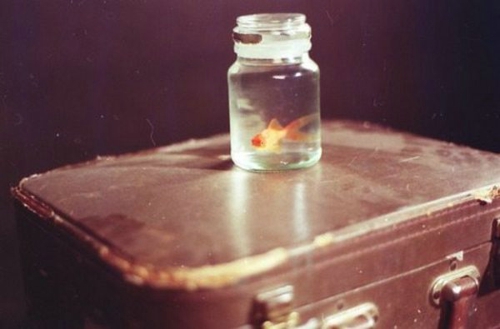 唯美文艺说说带图片 想做一个长长的梦回到十九岁那年14