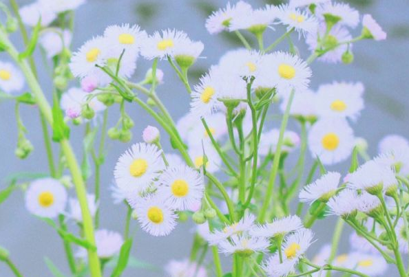 电影电视剧中会出现的唯美经典的韩文说说14