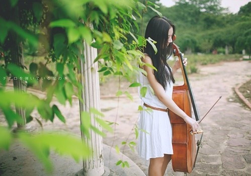 文字控喜欢的简单文艺小清新句子带图片10