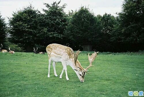 带图片的励志说说人生感悟 别辜负了你的野心也别对不起你受的苦14