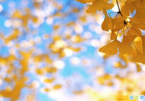 2019春分朋友圈早安祝福语带图片 春分唯美说说简单一句话7