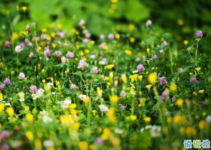恋爱中很幸福的唯美情话2018精选 很享受爱情的唯美说说6