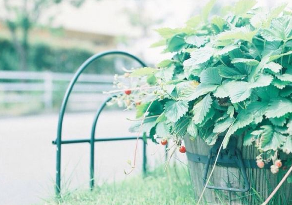 电影电视剧中会出现的唯美经典的韩文说说15