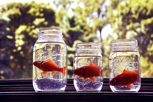 关于人生和爱情的唯美小清新句子带图片 我路过万家灯火而你才是我的归途5