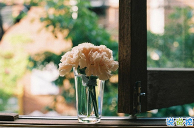 早安说说唯美阳光带图片 早安问候语大全简短温暖13