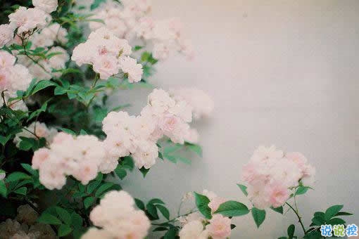 唯美英文励志正能量感悟人生的句子和图片6