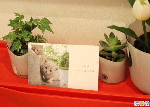 qq说说女生伤感心累了带图片 简短一句话说说女生难过寂寞2