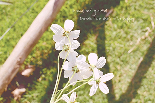 优美说说唯美的句子配图:海底月是天上月,只是镜花水月9