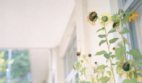 电影电视剧中会出现的唯美经典的韩文说说10