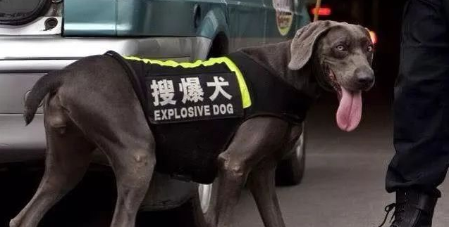 超搞笑的英语翻译/中式翻译说说带图片3