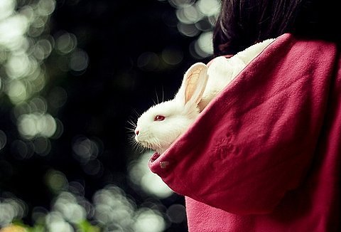 超唯美文艺的说说带图片 你看没看见我都盛开风来不来芬芳都在2