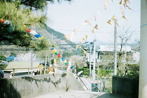 超唯美文艺的说说带图片 你看没看见我都盛开风来不来芬芳都在13