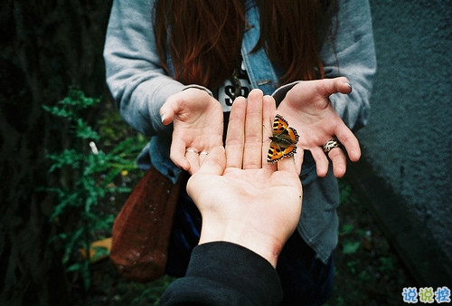 唯美简单的治愈系说说带图片 山月孤寂只是未见我6