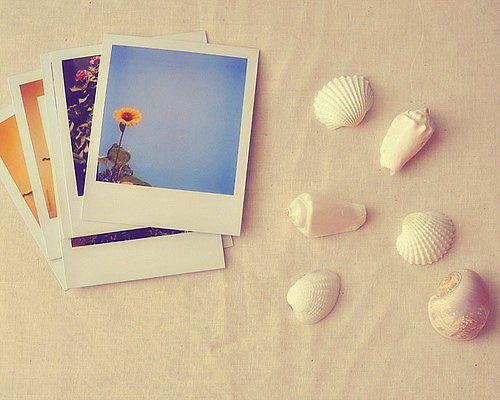 有哪些诗歌读到后心里像开出了一朵花?10