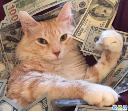 可爱说说配图2018女生专属 我生来就是宝贝,来到世间就是被宠的1