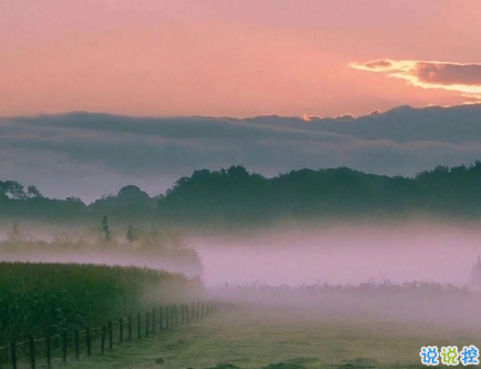 简短的带唯美的说活带图片 简单一句话说说表达心中的情感1