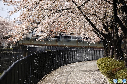 14条很美很好听的文艺唯美说说带图片 森系文艺范古风说说3