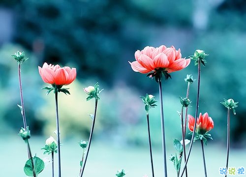 2019春分朋友圈早安祝福语带图片 春分唯美说说简单一句话3