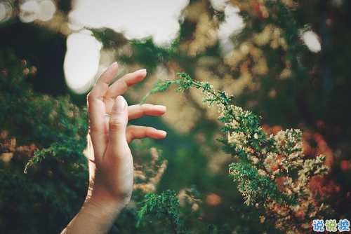 14条很美很好听的文艺唯美说说带图片 森系文艺范古风说说5