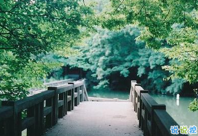 承蒙你出现,够我喜欢好多年9