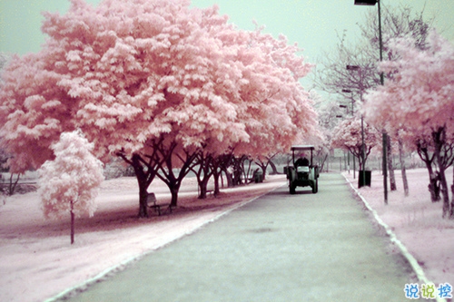 最新女生唯美说说带图片大全 有诗意很文艺的一些唯美句子7