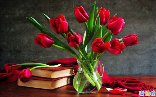 2019关于春分的微信说说带图片 春分节气早安祝福语12