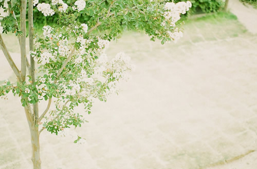 写给步入职场的你的一些经典感悟哲理句子带图片8