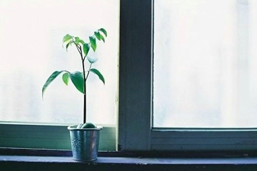 有哪些诗歌读到后心里像开出了一朵花?1