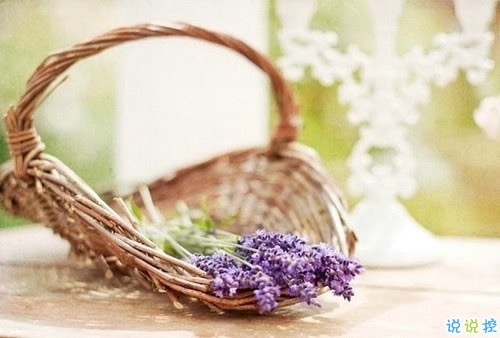 抖音人生哲理句子大全 有深意很内涵哲理句子1