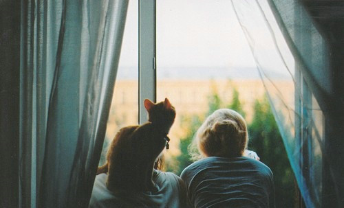 关于人生成长的精辟哲理句子带图片很有道理的那种5