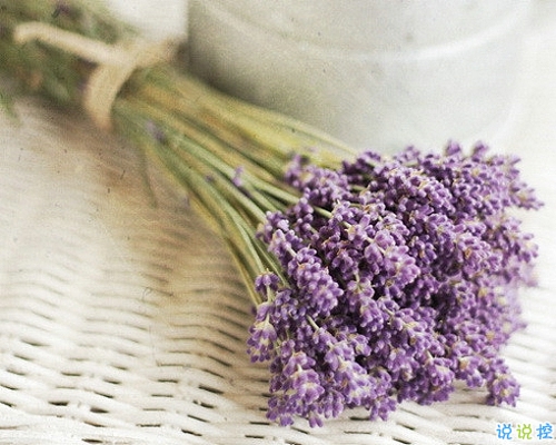 优美说说唯美的句子配图:海底月是天上月,只是镜花水月10