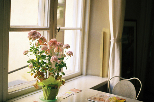 超经典的关于人生和成长的激励你前行的正能量说说带图片7