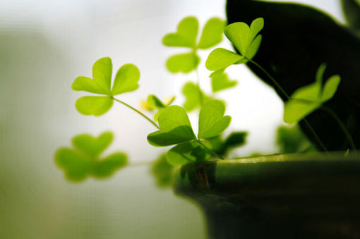 关于读书阅读的哲理精辟有道理的说说带图片10