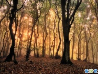 唯美时尚爱情说说带图片 很好看的唯美爱情说说精选10