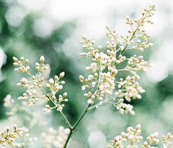 关于一个人旅行的精辟哲理说说带图片 每一次旅行其实都是一场修行2
