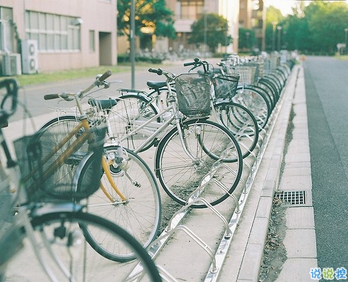 大学生必看的搞笑暖心情话 不同系别的学霸怎么表白8