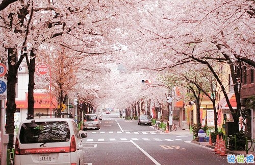 2019最新三月经典励志句子致自己 2019三月加油微信说说大全1