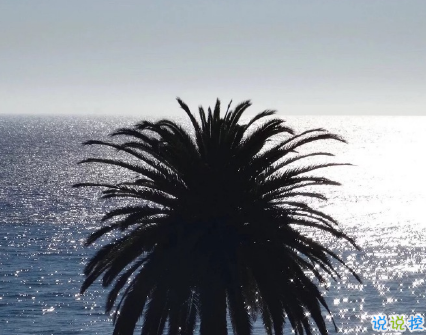 简短的带唯美的说活带图片 简单一句话说说表达心中的情感13