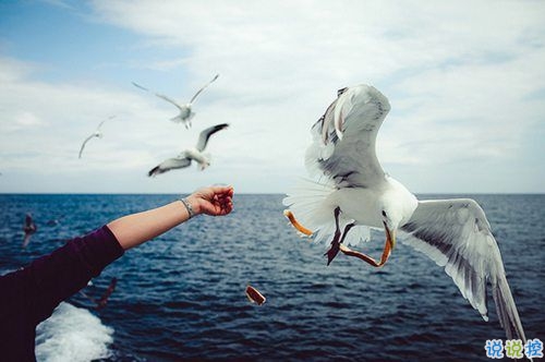 最暖心的一句话说说一秒被融化 那些温暖人的经典说说带图片7