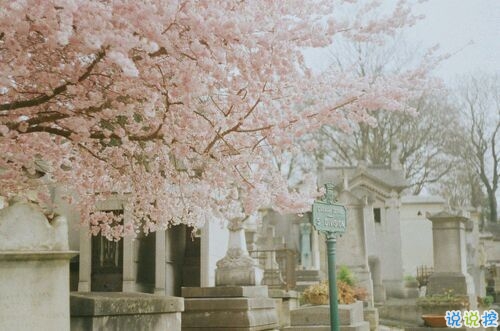 真正喜欢一个人是什么样子?1