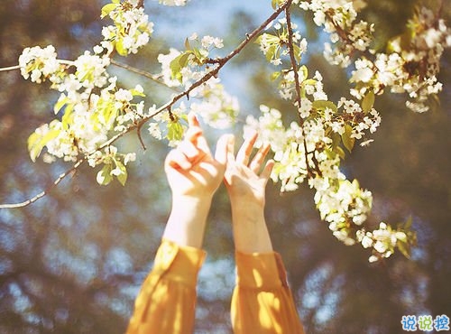 特别有意思的个性说说带图片 有趣让人惊喜的一些情感句子2