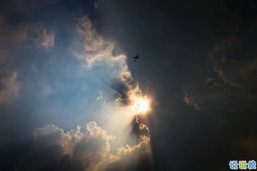 最暖心的一句话说说一秒被融化 那些温暖人的经典说说带图片13