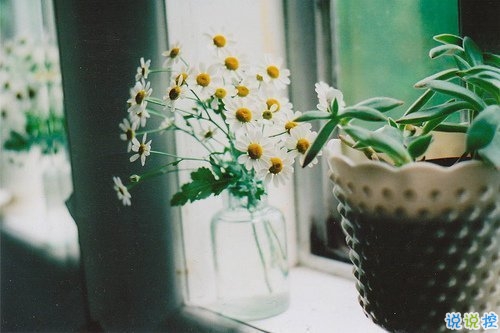 关于青春成长的哲理虽然简单一句话但是很有道理的说说带图片9