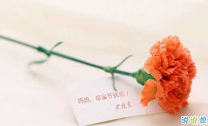 关于2018母亲节说说朋友圈配图 记得对妈妈说一句我爱你9