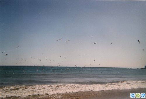 人生很现实经典励志图片说说 人的一生难免有起伏8