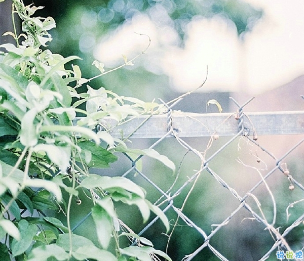 关于一个人旅行的精辟哲理说说带图片 每一次旅行其实都是一场修行4