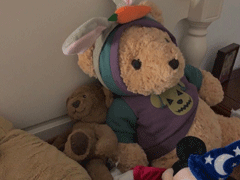 感慨冬季来临的心情说说 适合立冬发朋友圈的文案